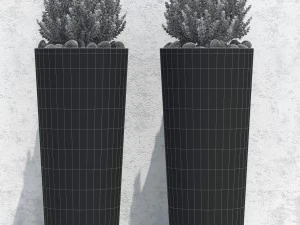 plant 20 3D Model
