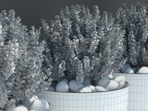 plant 20 3D Model