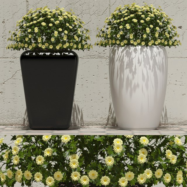 plant 30 3D Модель .c4d .max .obj .3ds .fbx .stl .blend 
