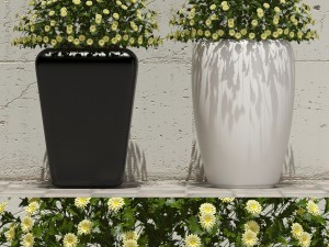 plant 30 3D Model