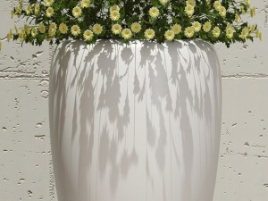 plant 30 3D Модель