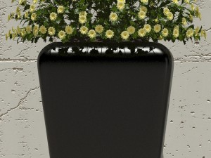 plant 30 3D Модель
