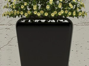 plant 30 3D Model