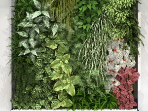 green wall 3Dモデル
