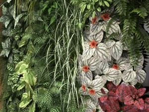 green wall 3Dモデル