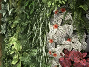 green wall 3D Model