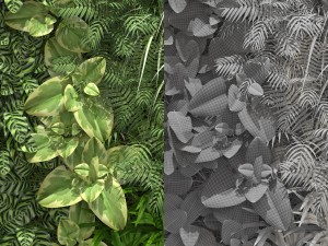 green wall 3Dモデル