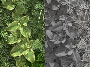 green wall 3D Model
