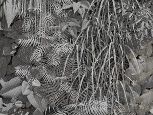 green wall 3Dモデル