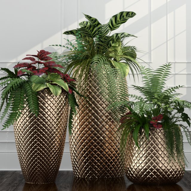 room plants 11 3D Model .c4d .max .obj .3ds .fbx .stl .blend 