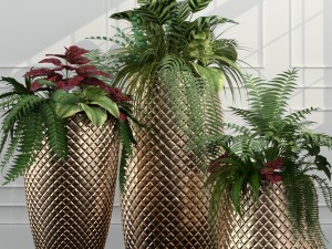 room plants 11 3Dモデル