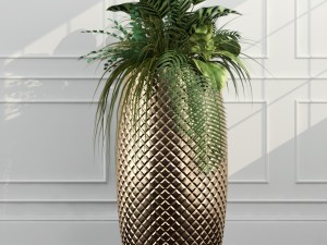 room plants 11 3D Model