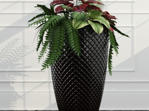 room plants 11 3D Model