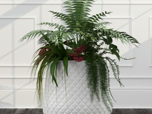 room plants 11 3D Model