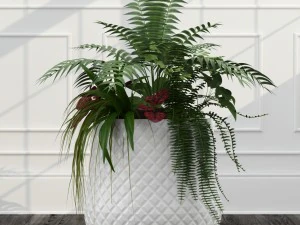 room plants 11 3D Model