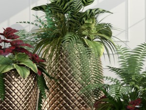 room plants 11 3D Model