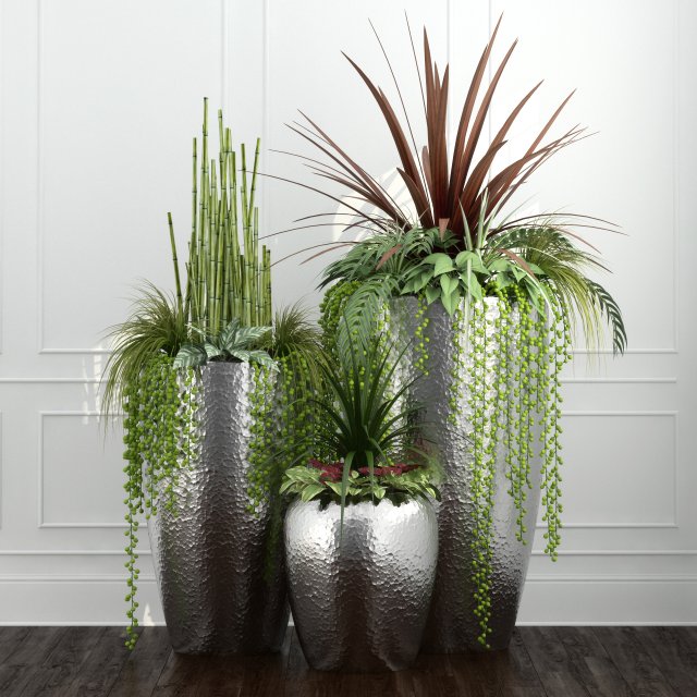 room plants 12 3D Model .c4d .max .obj .3ds .fbx .stl .blend 