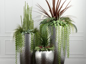 room plants 12 3D Model