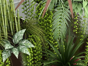 room plants 12 3D Model