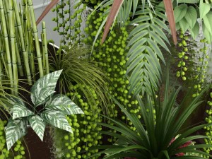 room plants 12 3D Model