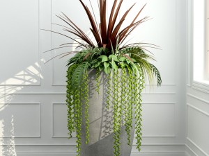 room plants 12 3D Model