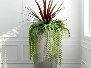 room plants 12 3D Model