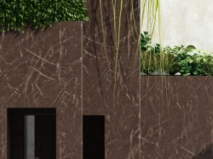 plant 35 3D Model