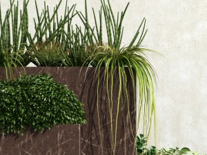 plant 35 Modelo 3D