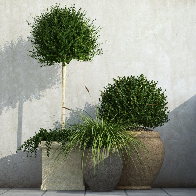 plant 36 Modèle 3D .c4d .max .obj .3ds .fbx .stl .blend 
