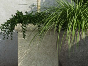 plant 36 3D Model