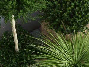 plant 36 3D Model