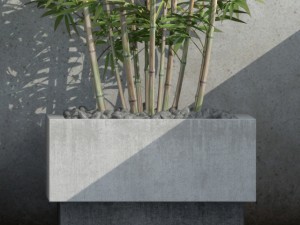 bamboo 03 3D 模型