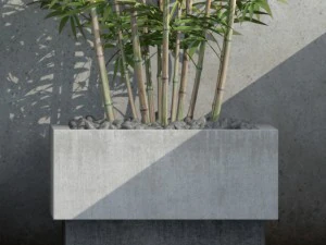 bamboo 03 3D Model