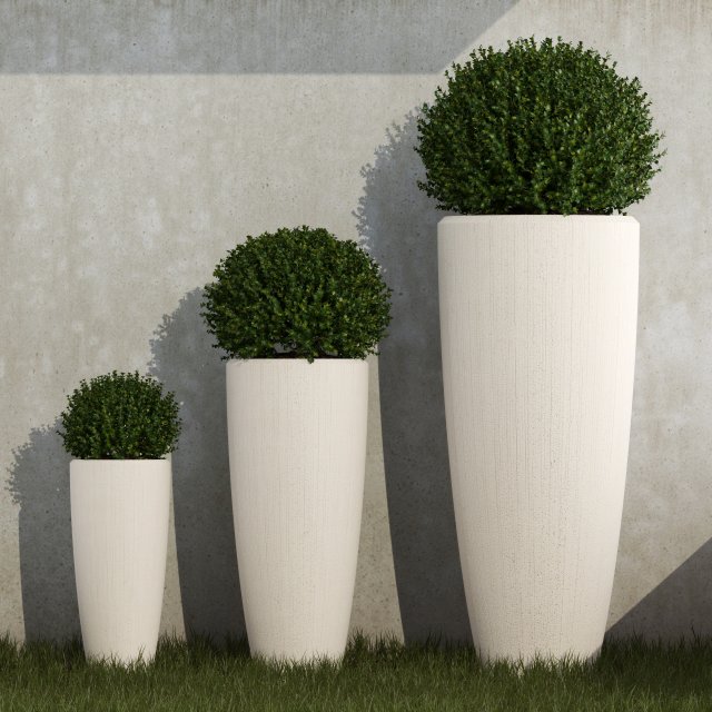 plant 38 3D Модель .c4d .max .obj .3ds .fbx .stl .blend 