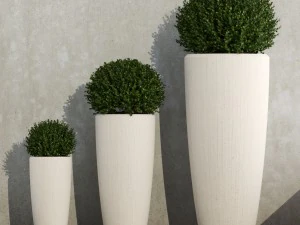 植物 38 3Dモデル