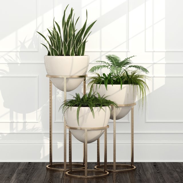 room plants 14 3D Model .c4d .max .obj .3ds .fbx .stl .blend 