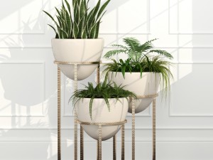 room plants 14 3D मॉडल