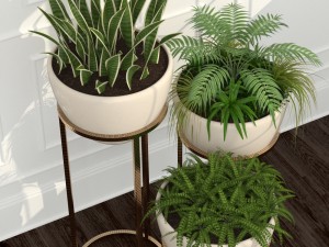 room plants 14 3D Model
