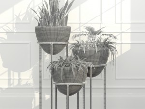 room plants 14 3D Model
