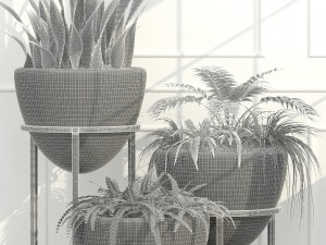 room plants 14 3D Model