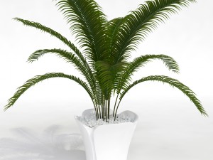barcelona design flowerpots set 02 3D Model