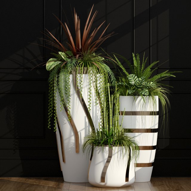 plants 43 Modello 3D .c4d .max .obj .3ds .fbx .stl .blend 