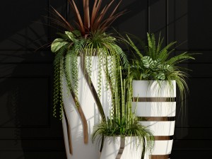 plants 43 3D Model