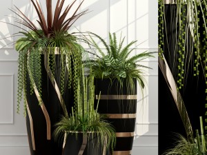 plants 43 Modello 3D