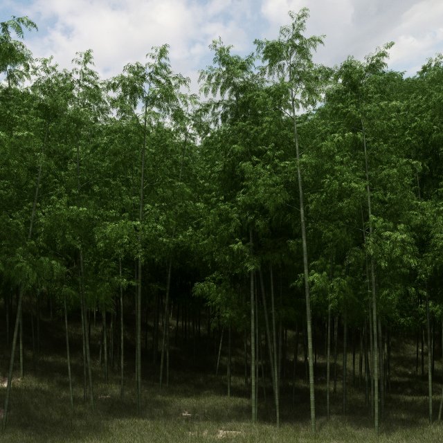 bamboo trees for scatter 02 3D 모델 .c4d .max .obj .3ds .fbx .stl .blend 