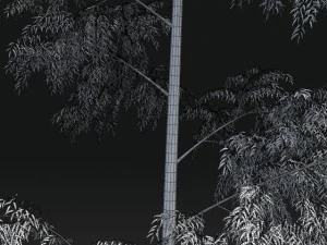 bamboo trees for scatter 02 3D Model