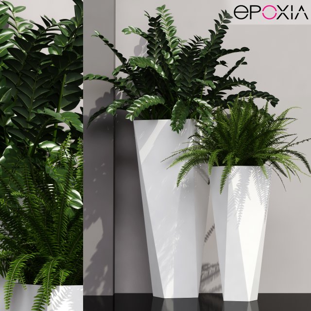 plant 45 Model 3D .c4d .max .obj .3ds .fbx .stl .blend 