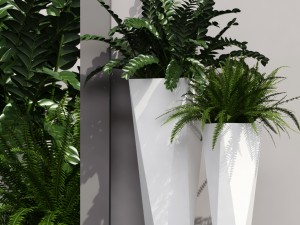 plant 45 3D Model