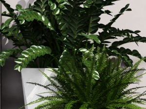 plant 45 Model 3D