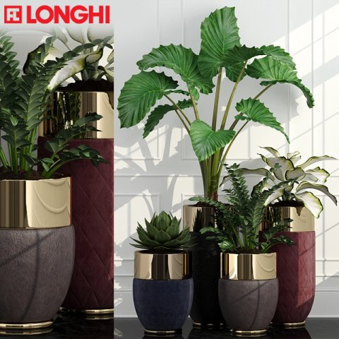 longhi godwin Model 3D .c4d .max .obj .3ds .fbx .stl .blend 